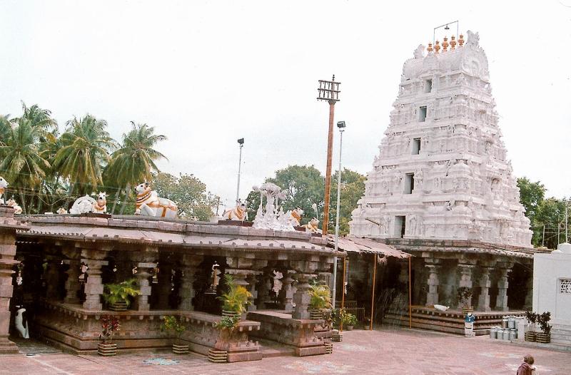 శ్రీ మల్లికార్జున జ్యోతిర్లింగం,శ్రీశైలం.
