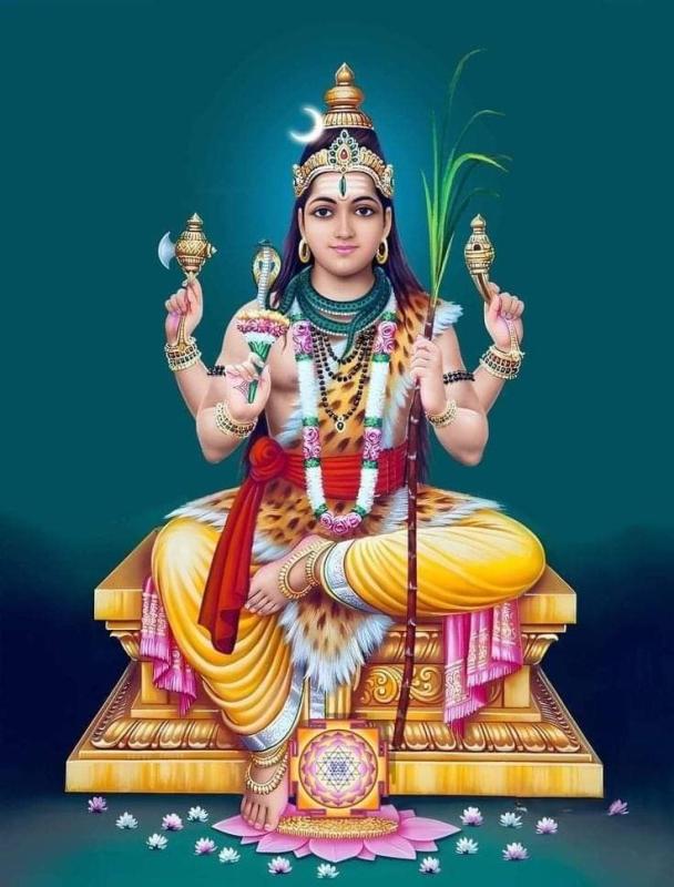 మెధా దక్షిణామూర్తి హోమం