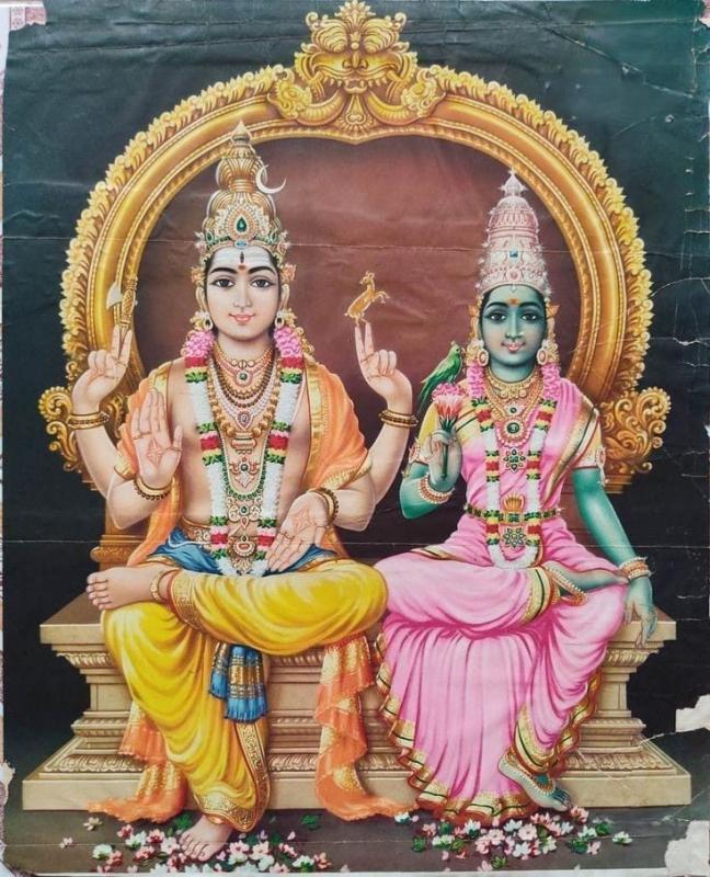 భృగు పాశుపత హోమం