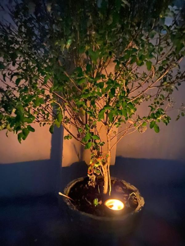 కార్తీక మాసంలో వనభోజనాల ప్రాముఖ్యత ,కుటుంబ సమగ్రతకు సంకేతం